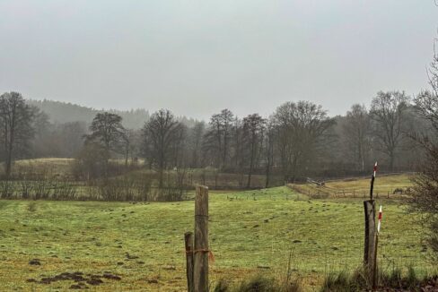 Ausblick vom Haus