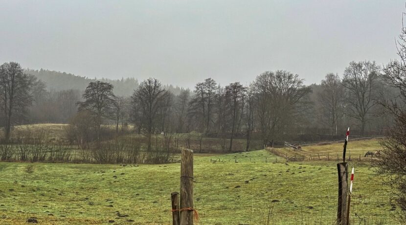 Ausblick vom Haus