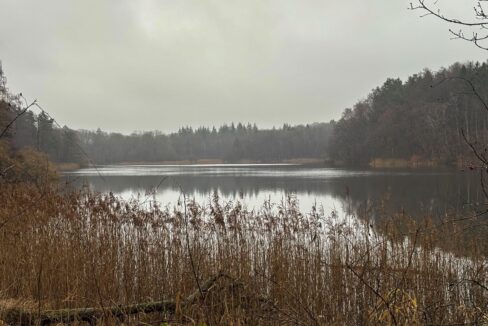 der Lütjensee