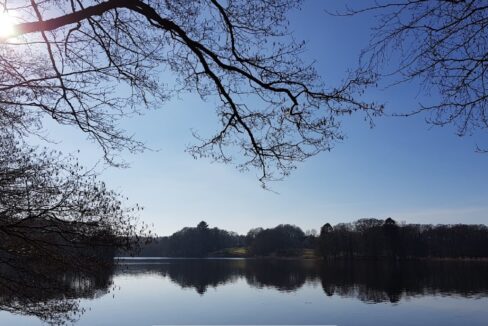 der Lütjensee