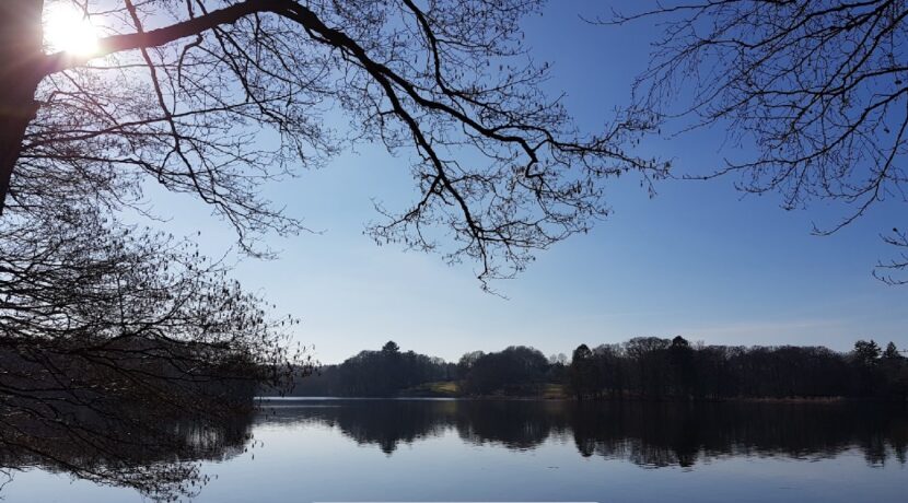 der Lütjensee
