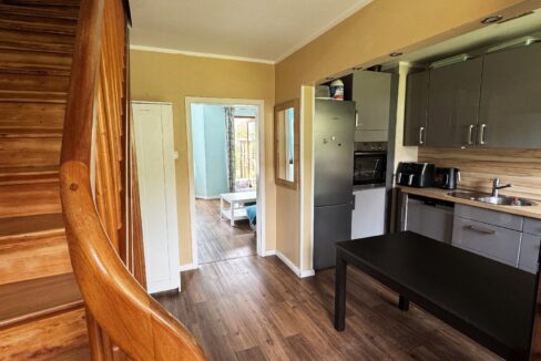 Blick in Küche und Wohnzimmer