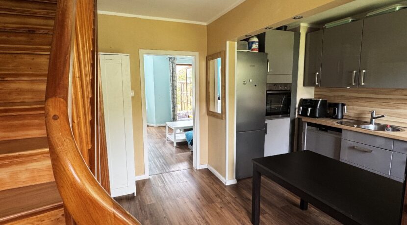 Blick in Küche und Wohnzimmer