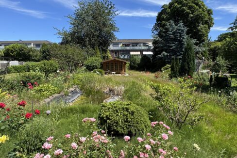 Blick in den Garten