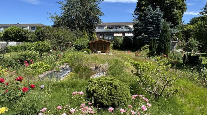 Blick in den Garten