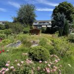 Blick in den Garten